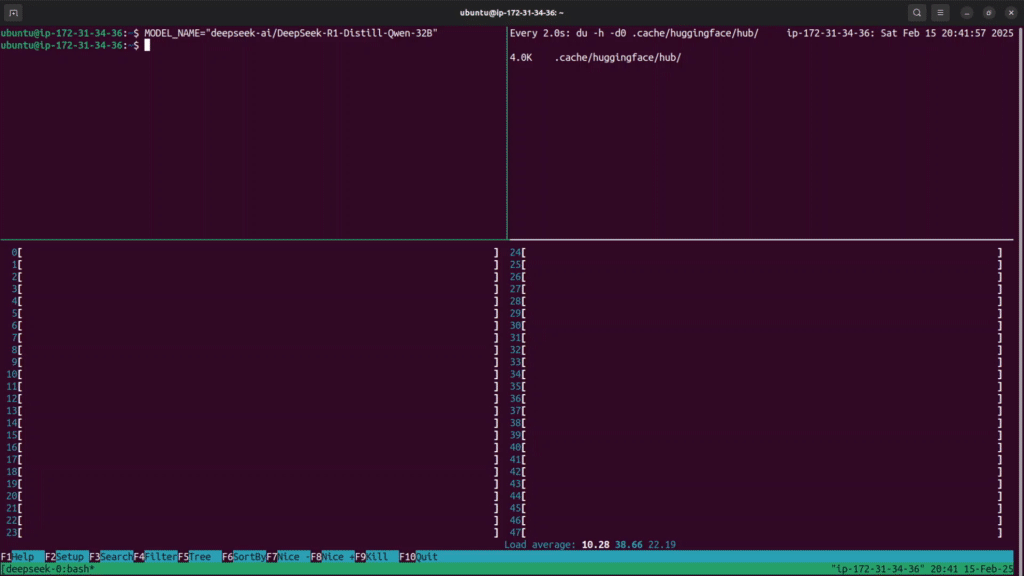 Running DeepSeek