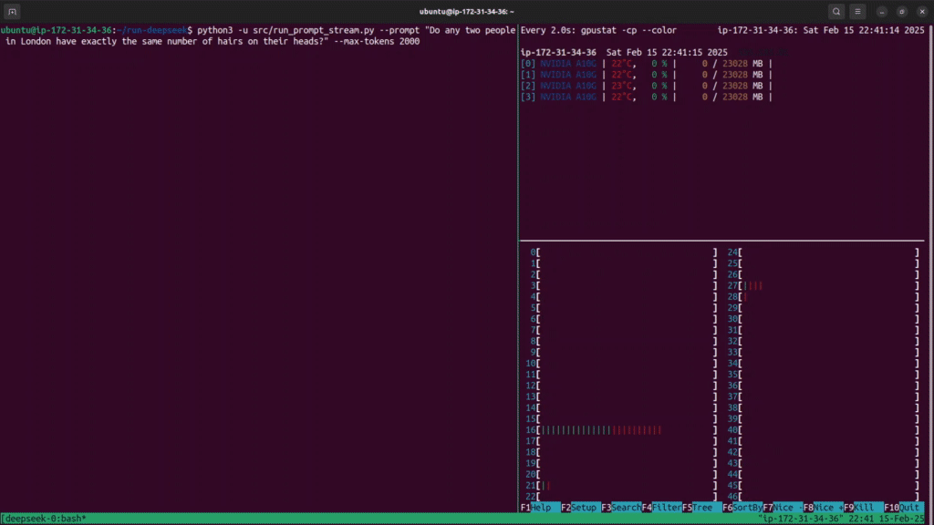 Running DeepSeek